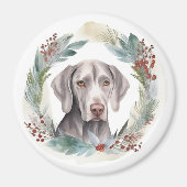 Weimaraner Kerstkrans Feestelijke Pup Magneet (Voorkant)