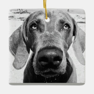 ***WEIMARANER*** KERSTORNAMENT KERAMISCH ORNAMENT