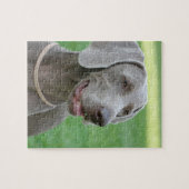 Weimaraner Legpuzzel (Horizontaal)