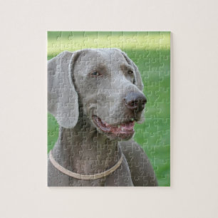 Weimaraner Legpuzzel