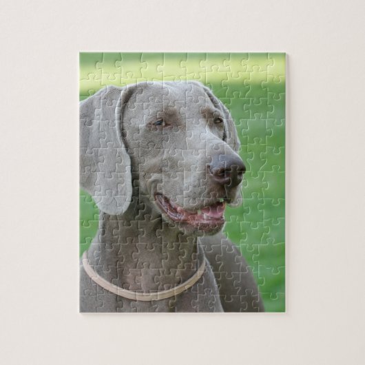 Weimaraner Legpuzzel (Verticaal)