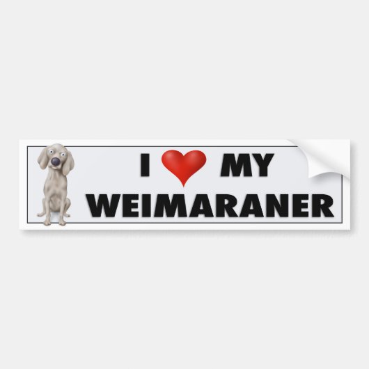 Weimaraner-liefdessticker Bumpersticker (Voorkant)