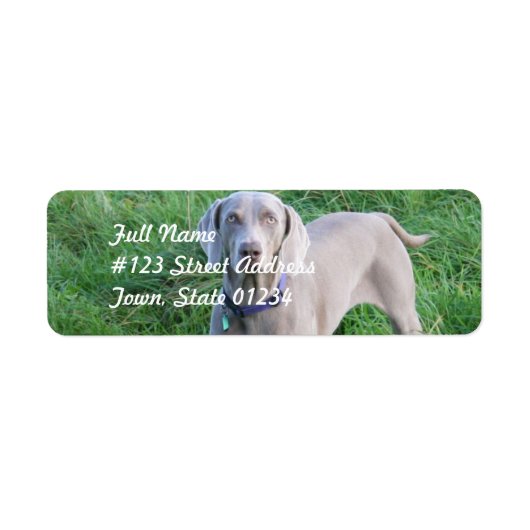 Weimaraner Lovers Mailing Labels (Voorkant)