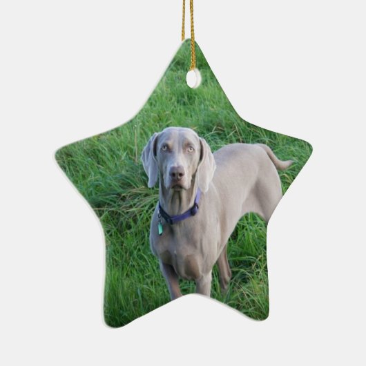 Weimaraner Lovers Ornament (Rechts)