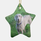 Weimaraner Lovers Ornament (Links)