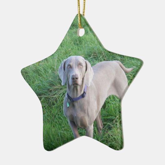 Weimaraner Lovers Ornament (Links)