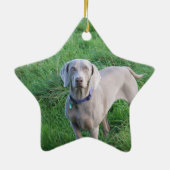Weimaraner Lovers Ornament (Achterkant)