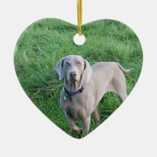 Weimaraner Lovers Ornament (Voorkant)