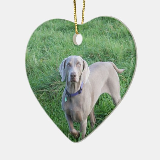 Weimaraner Lovers Ornament (Links)