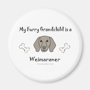 Weimaraner Magneet