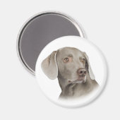 Weimaraner Magnet (Voorkant / Achterkant)