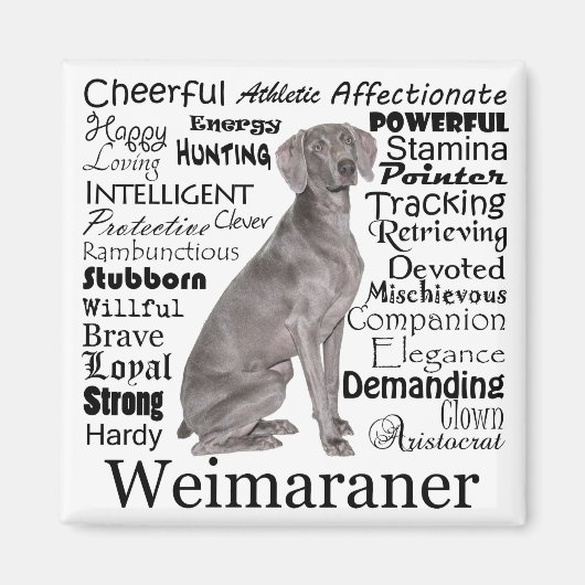 Weimaraner Magnet (Voorkant)