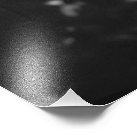 Weimaraner "Majestic Hunter" BW Foto Afdruk (Hoek)