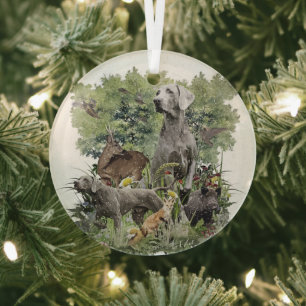 Weimaraner metal-versiering glas ornament