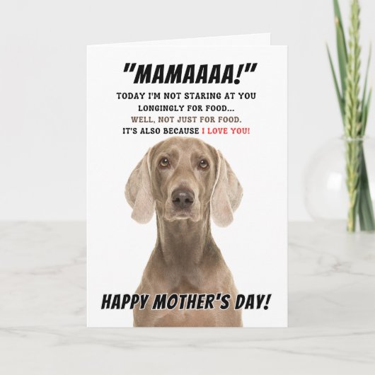 Weimaraner moederdag-wenskaart bedankkaart (Voorkant)