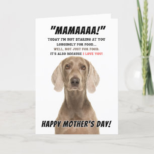 Weimaraner moederdag-wenskaart bedankkaart