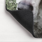 Weimaraner Muismat (Hoek)