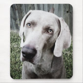 Weimaraner Muismat (Voorkant)