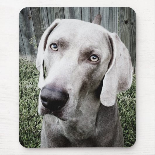 Weimaraner Muismat (Voorkant)