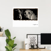 Weimaraner Nation: "A Thoughtful Stare" Poster (Thuiskantoor)