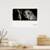 Weimaraner Nation: "A Thoughtful Stare" Poster (Keuken)
