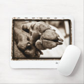 Weimaraner Nation : "De voet is goed onderweg" Muismat (Met muis)