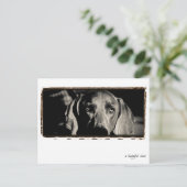 Weimaraner Nation : "Een bedenkelijke put" Briefkaart (Staand voorkant)