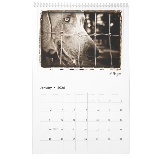 Weimaraner Nation : Een onderzoek van Weimaraners Kalender (Jan 2026)