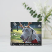 Weimaraner Nation: "Geen wezen roerde... Briefkaart (Staand voorkant)