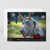 Weimaraner Nation: "Geen wezen roerde... Briefkaart (Voorkant / Achterkant)