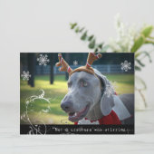 Weimaraner Nation: "Geen wezen roerde... Feestdagenkaart (Staand voorkant)