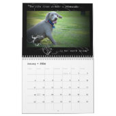 Weimaraner Nation : Quotentieregeling Kalender (Jan 2026)