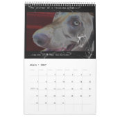 Weimaraner Nation : Quotentieregeling Kalender (Mar 2027)