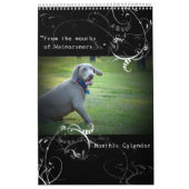Weimaraner Nation : Quotentieregeling Kalender (Hoes)