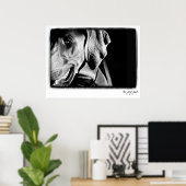 Weimaraner Nation: "The Grey Ghost" Print (Thuiskantoor)