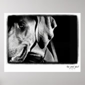 Weimaraner Nation: "The Grey Ghost" Print (Voorkant)