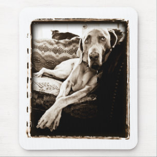 Weimaraner Nation : "Voorzitter Ballou" Muismat