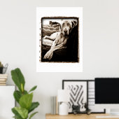 Weimaraner Nation: "Voorzitter Ballou" Poster (Thuiskantoor)