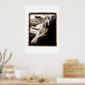 Weimaraner Nation: "Voorzitter Ballou" Poster (Keuken)