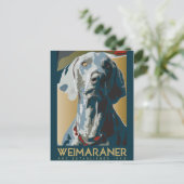 Weimaraner Nation : Weimaraner 1943 Briefkaart (Staand voorkant)