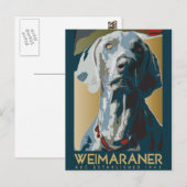 Weimaraner Nation : Weimaraner 1943 Briefkaart (Voorkant / Achterkant)