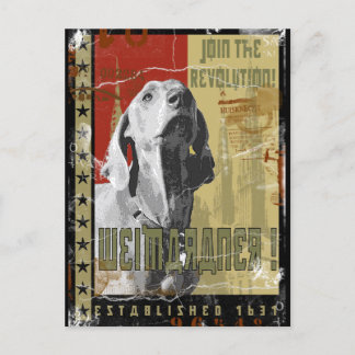 Weimaraner Nation :  Weimaraner! Briefkaart