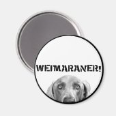 Weimaraner Nation: Weimaraner in een doos! Magneet (Voorkant / Achterkant)