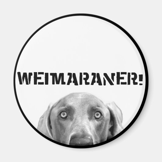 Weimaraner Nation: Weimaraner in een doos! Magneet (Voorkant)