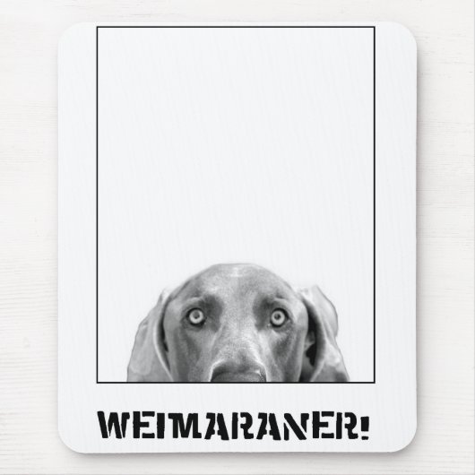 Weimaraner Nation : Weimaraner in een doos. Muismat (Voorkant)