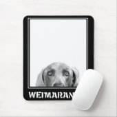 Weimaraner Nation : Weimaraner in een doos. Muismat (Met muis)