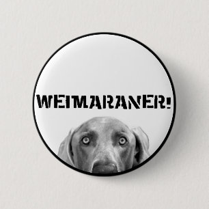 Weimaraner Nation : Weimaraner in een doos. Ronde Button 5,7 Cm