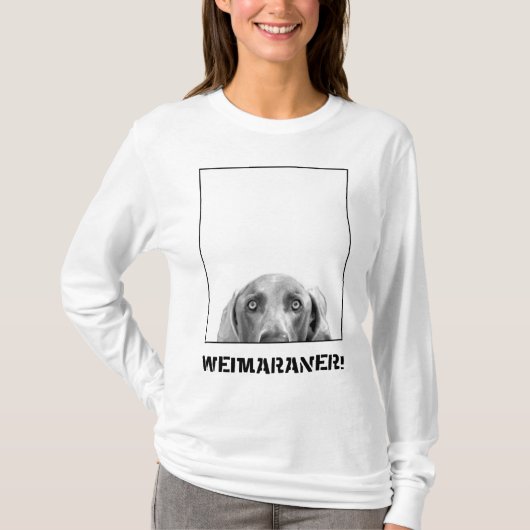 Weimaraner Nation : Weimaraner in een doos. T-shirt (Voorkant)