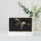 Weimaraner Nation : "Weimaraners in Shadow" Briefkaart (Staand voorkant)