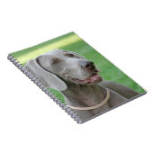 Weimaraner Notitieboek (Rechterzijde)